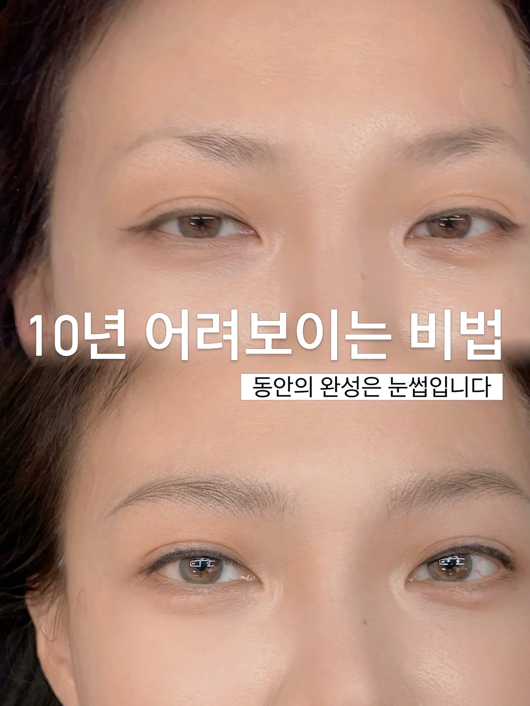 위글위글 포켓몬 스페셜 에디션