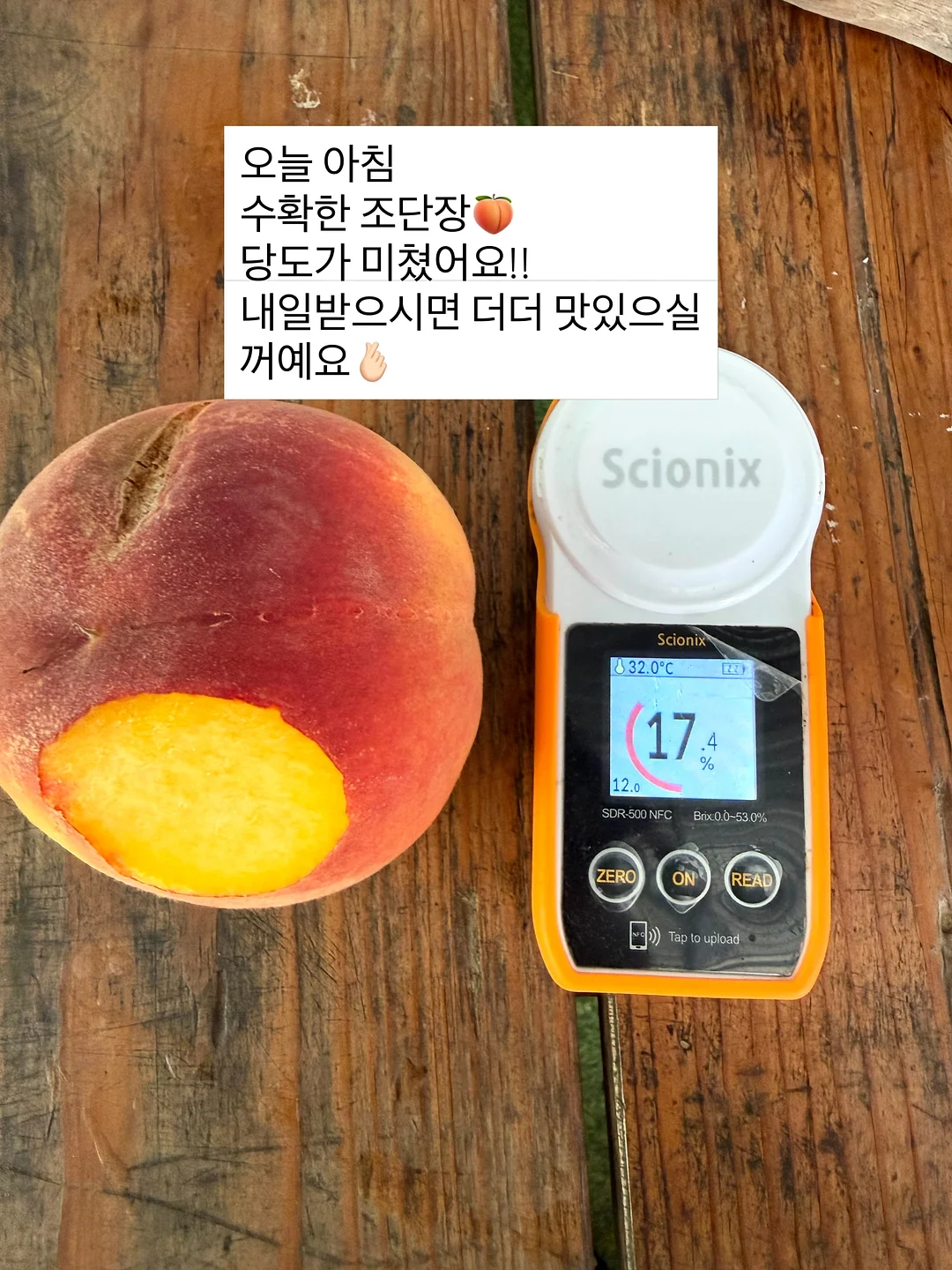 밍크 코트 2