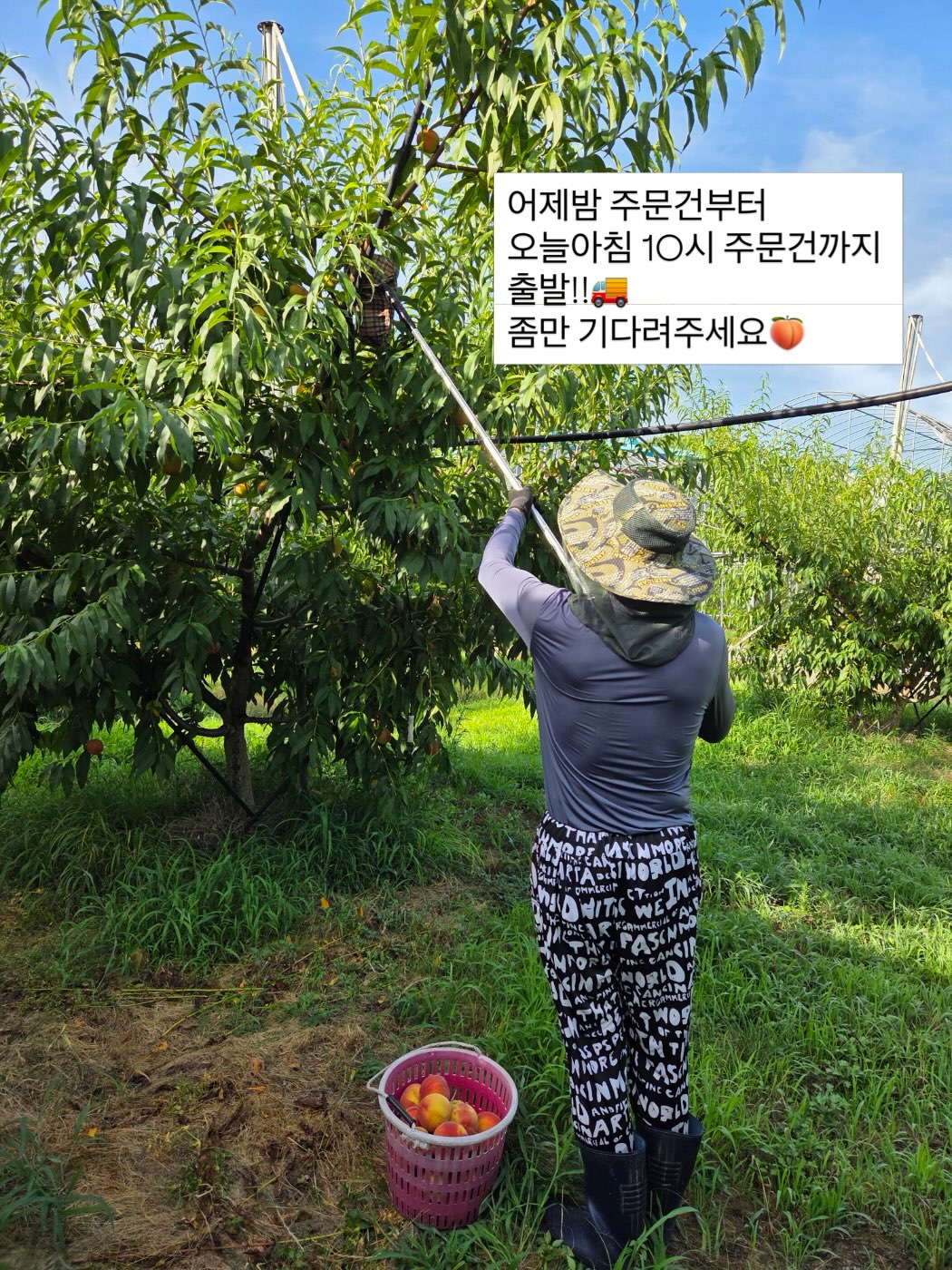 밍크 코트 3