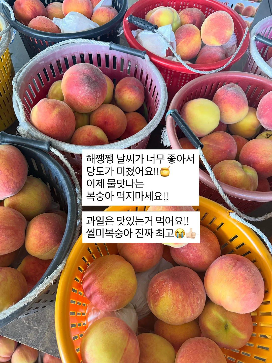 밍크 코트 4