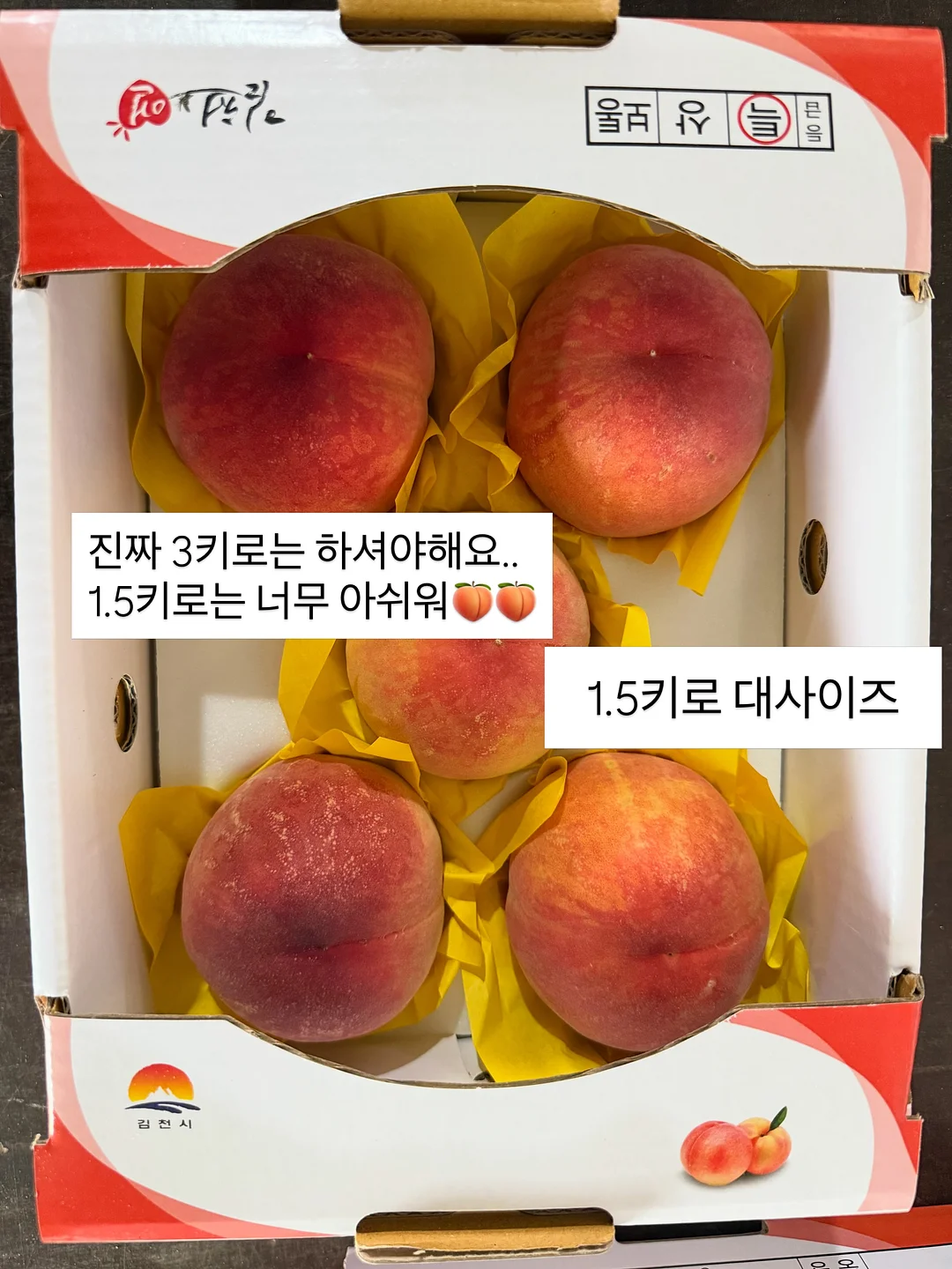 밍크 코트 8