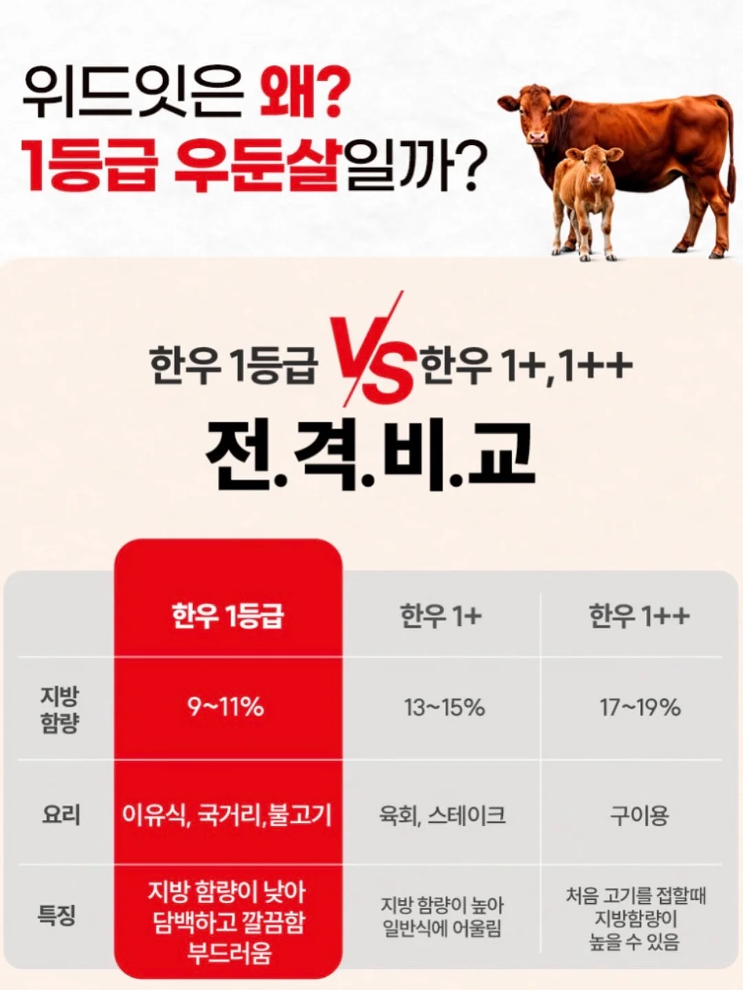 이달의아트 13