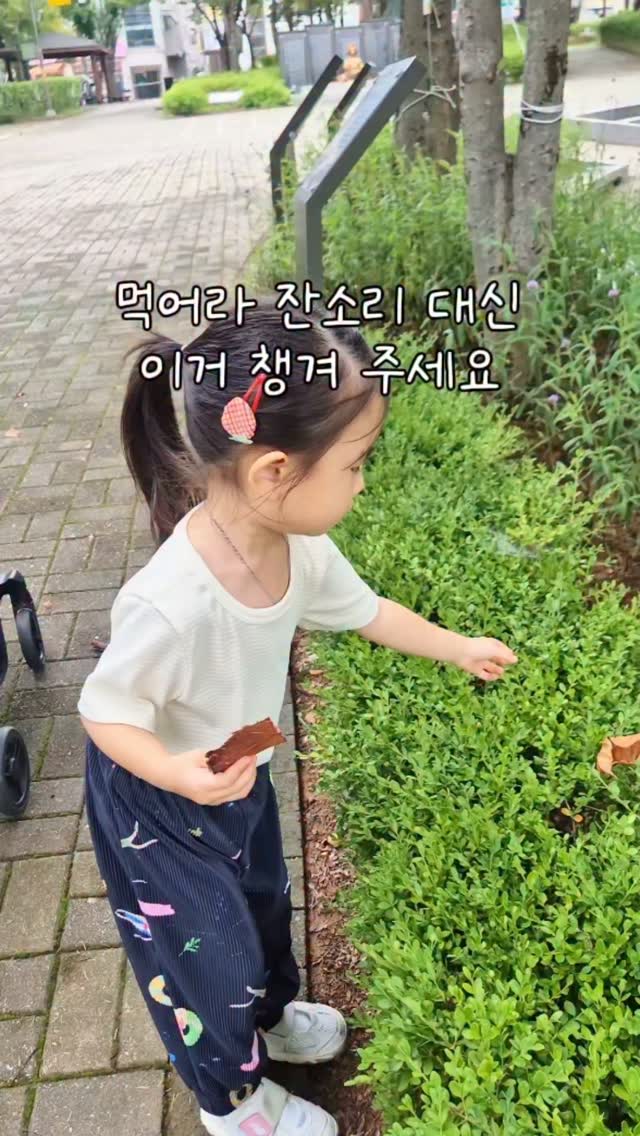 모윰 베스트 육아템