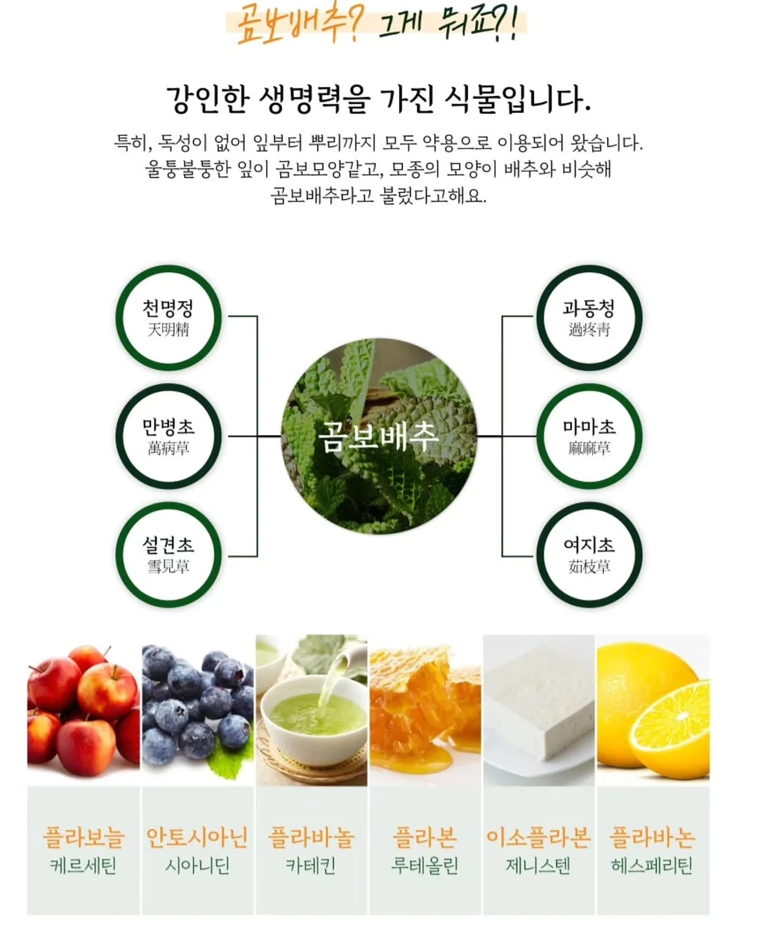 더베이지 쿨링 팬츠 4