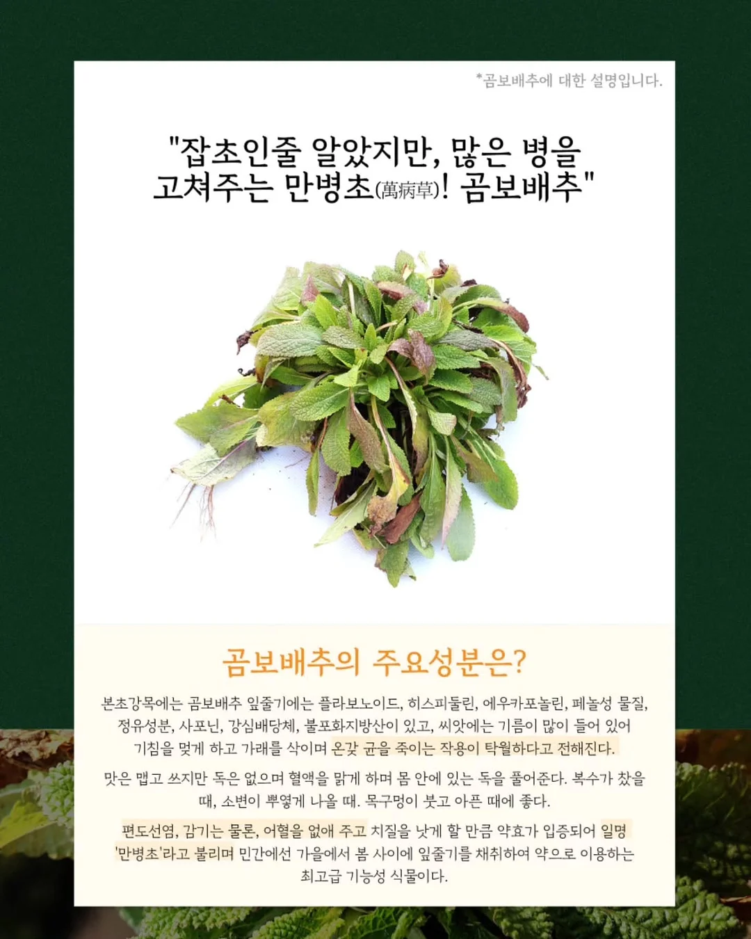 더베이지 쿨링 팬츠 5