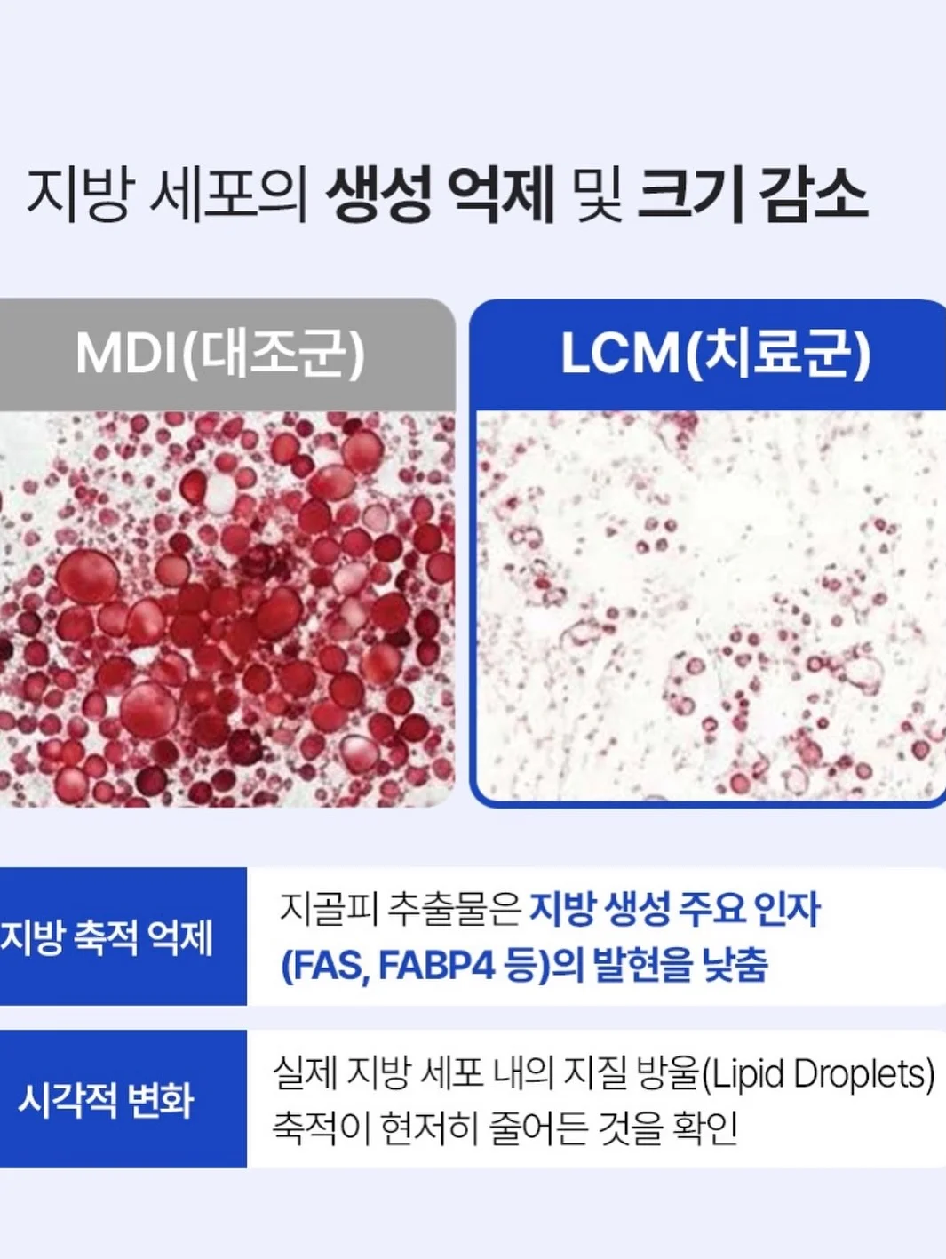 감자탕 9