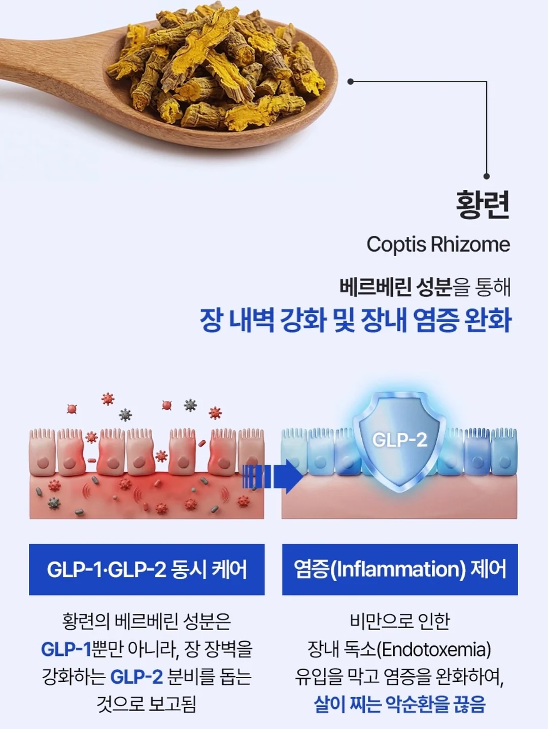 감자탕 10