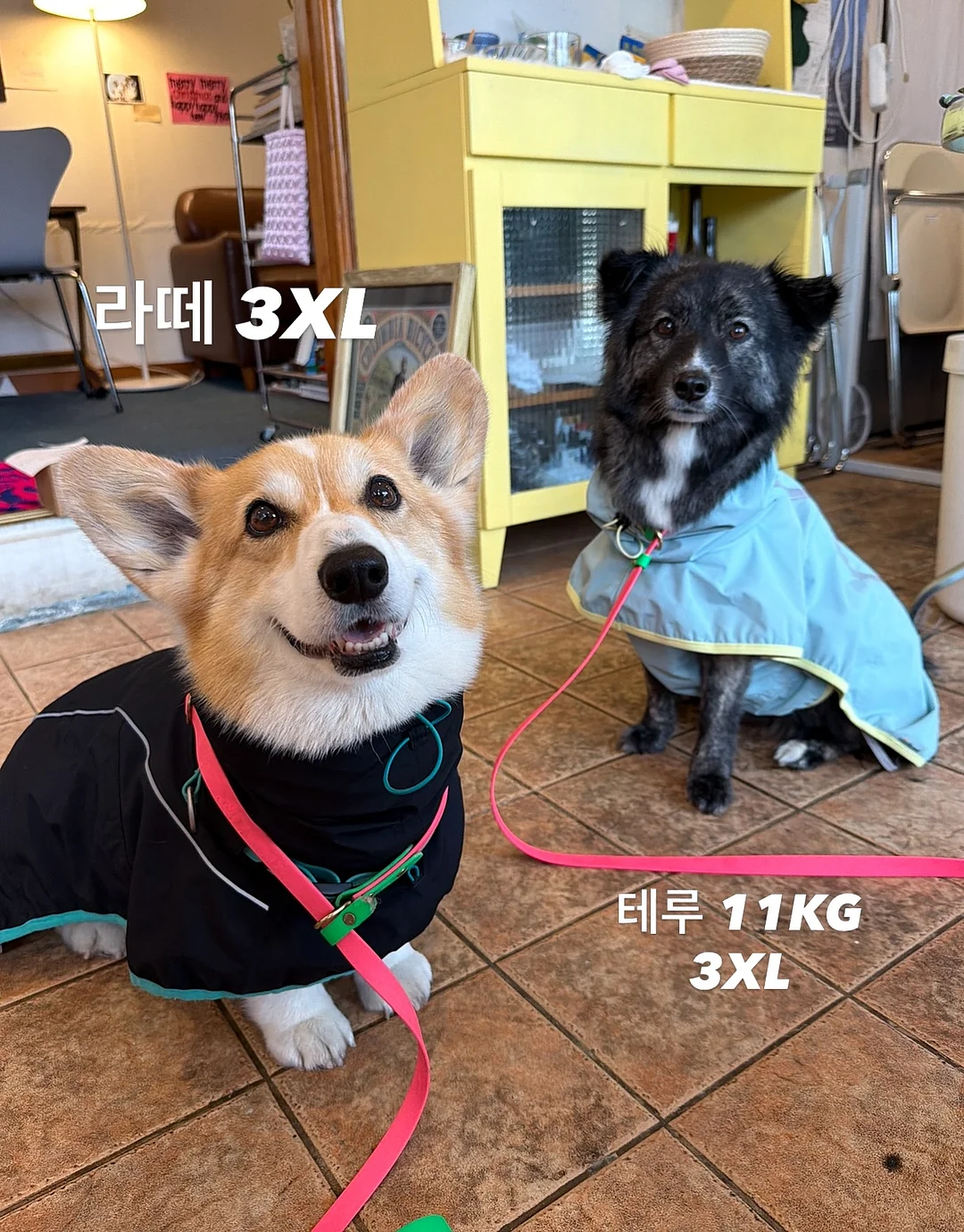 섹터별 모델링 강의 14
