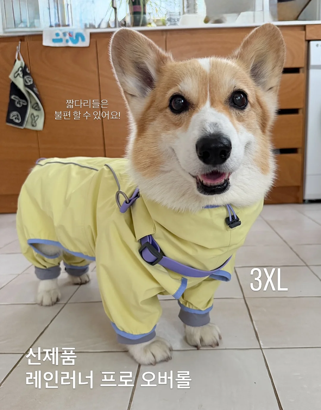 섹터별 모델링 강의 16