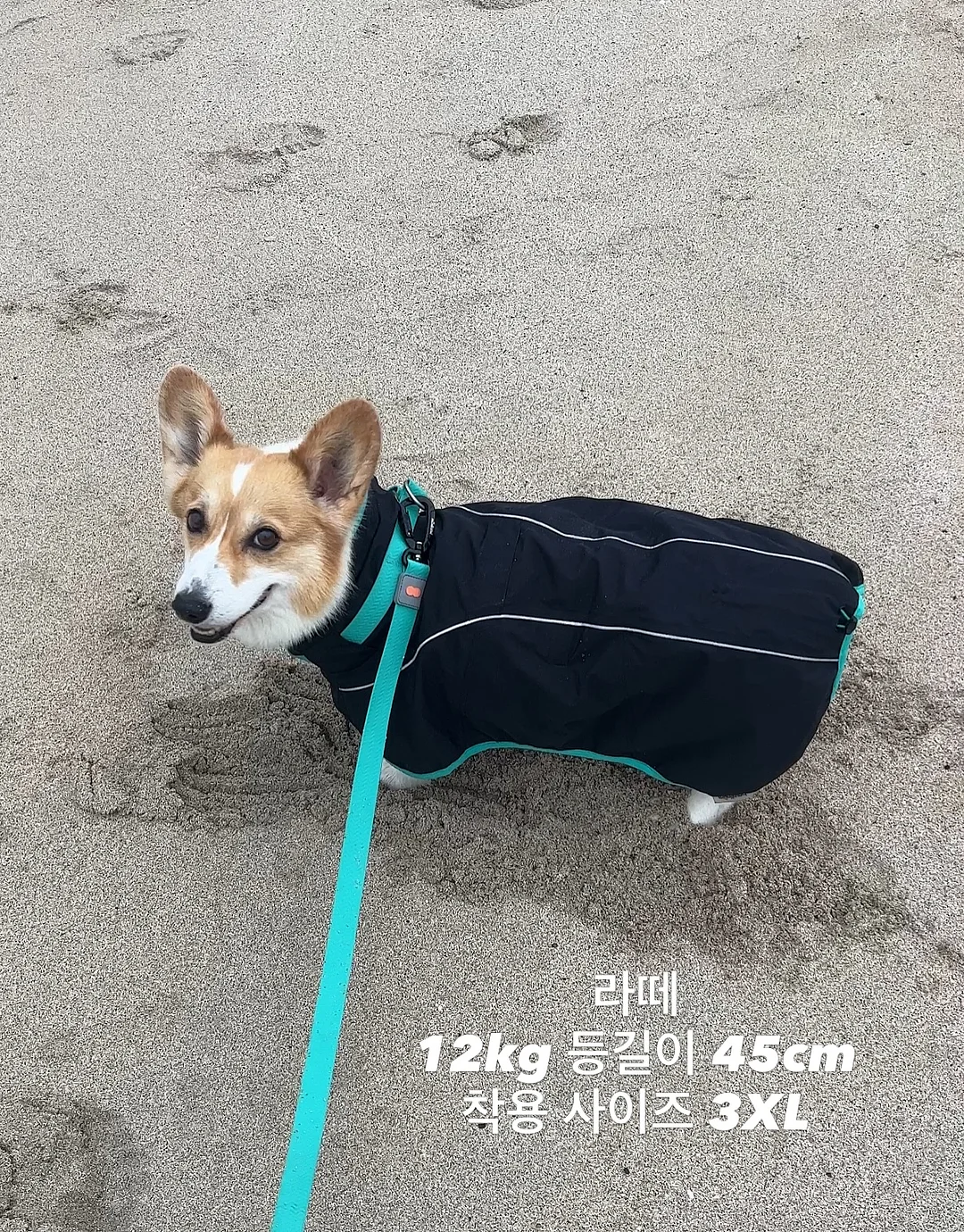 섹터별 모델링 강의 3