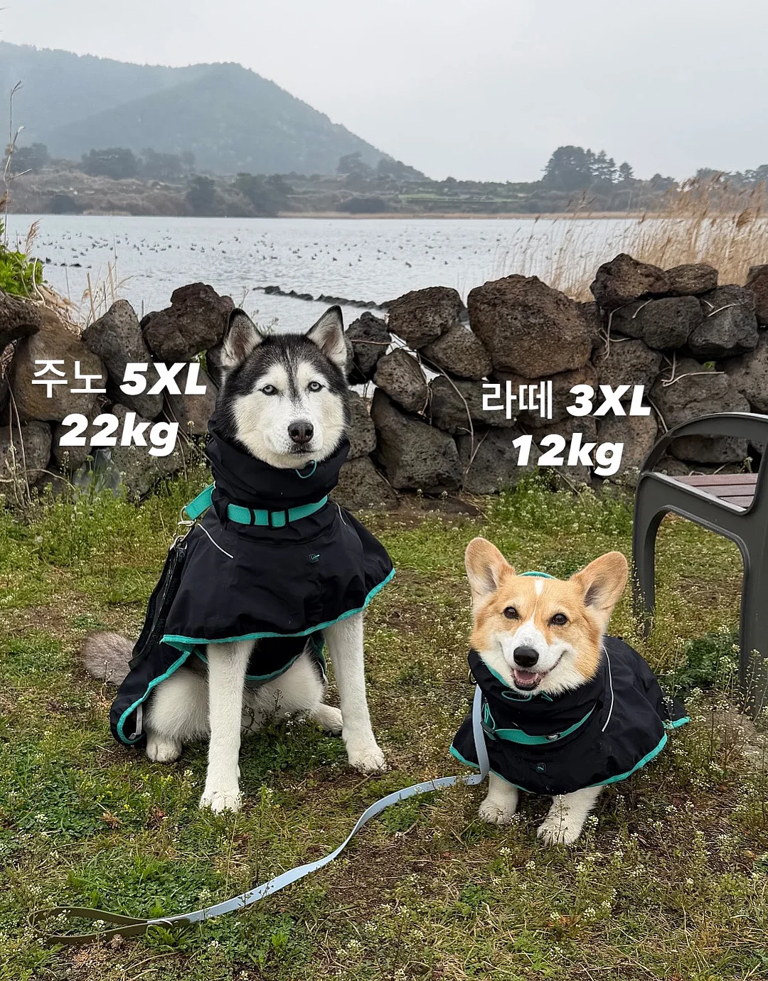 섹터별 모델링 강의 6