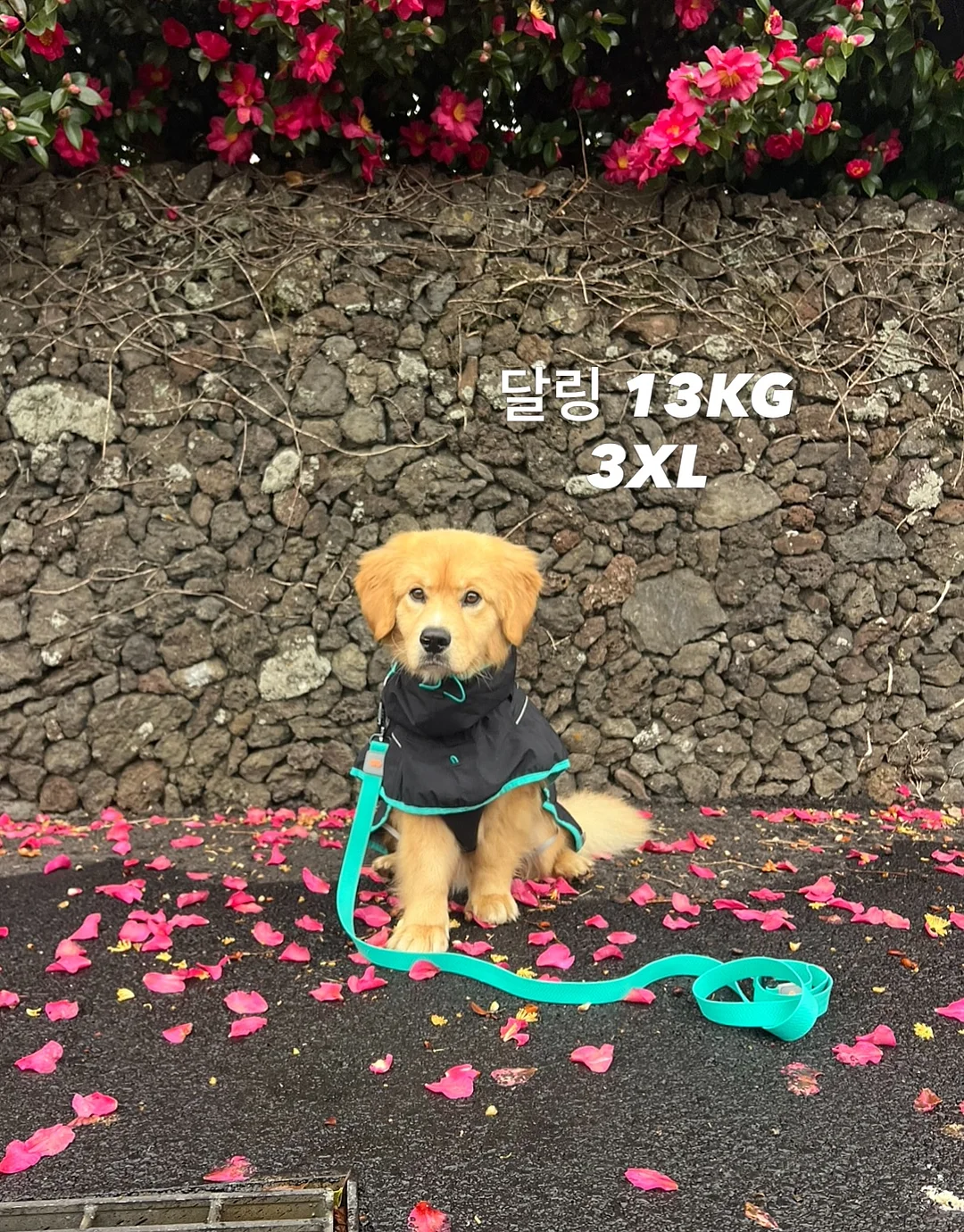 섹터별 모델링 강의 7