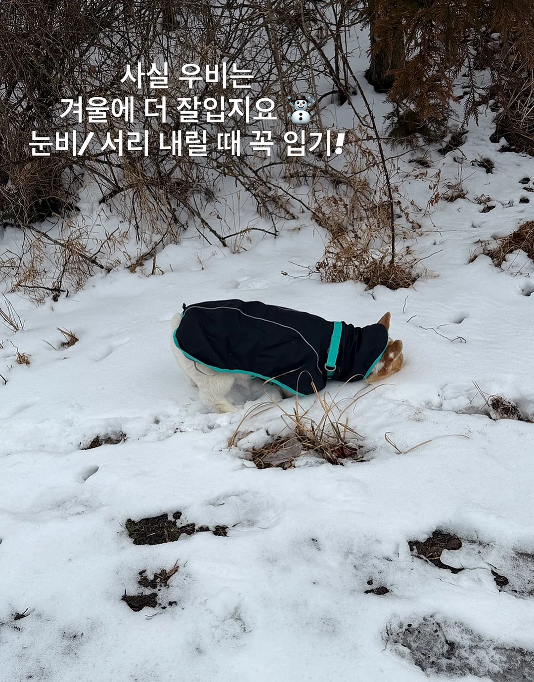 섹터별 모델링 강의 8