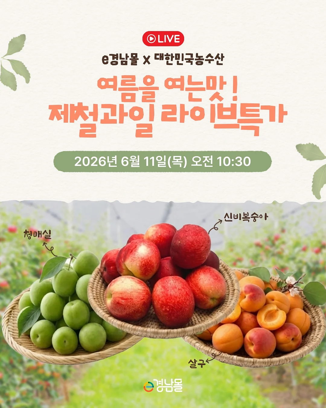 전갈자리 보름달 정화 리추얼 1