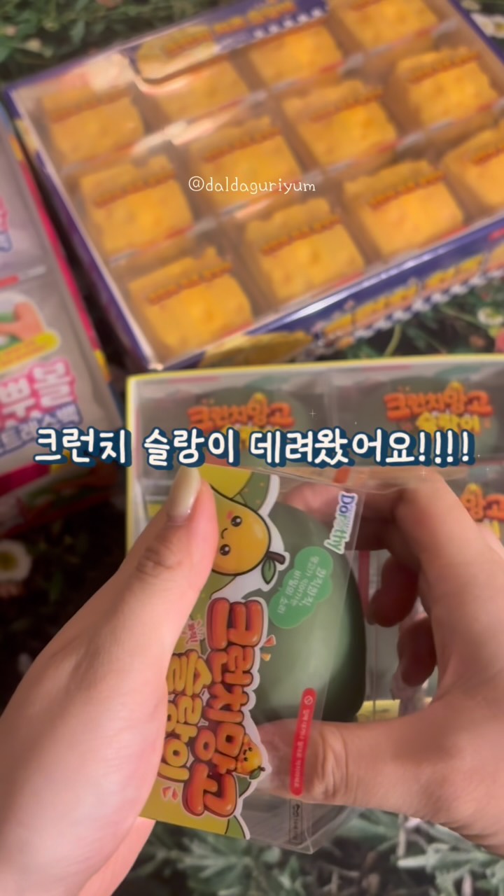 길고양이와 늑대 6권