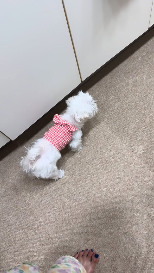 OCI 생산관리 자기소개서 컨설팅