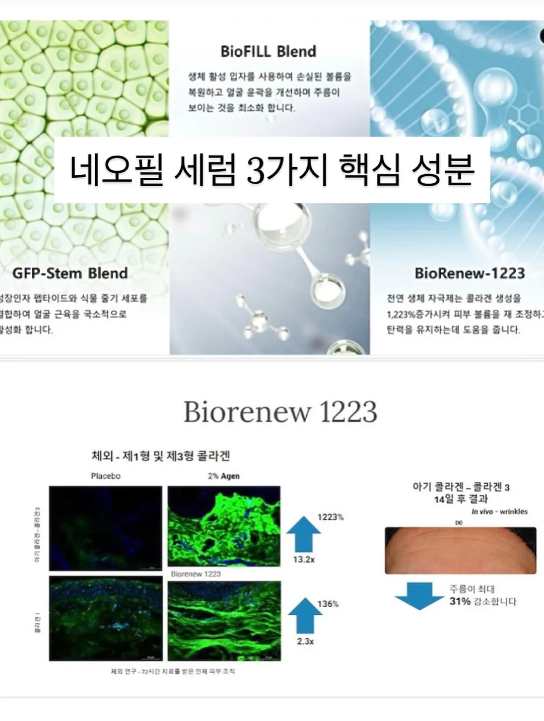 봄 행사 가랜드 11