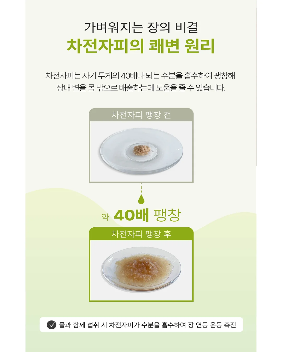 2026 홍콩 필름 갈라 프레젠테이션 8
