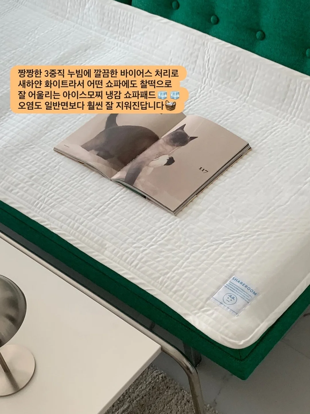 생과 블루베리 3