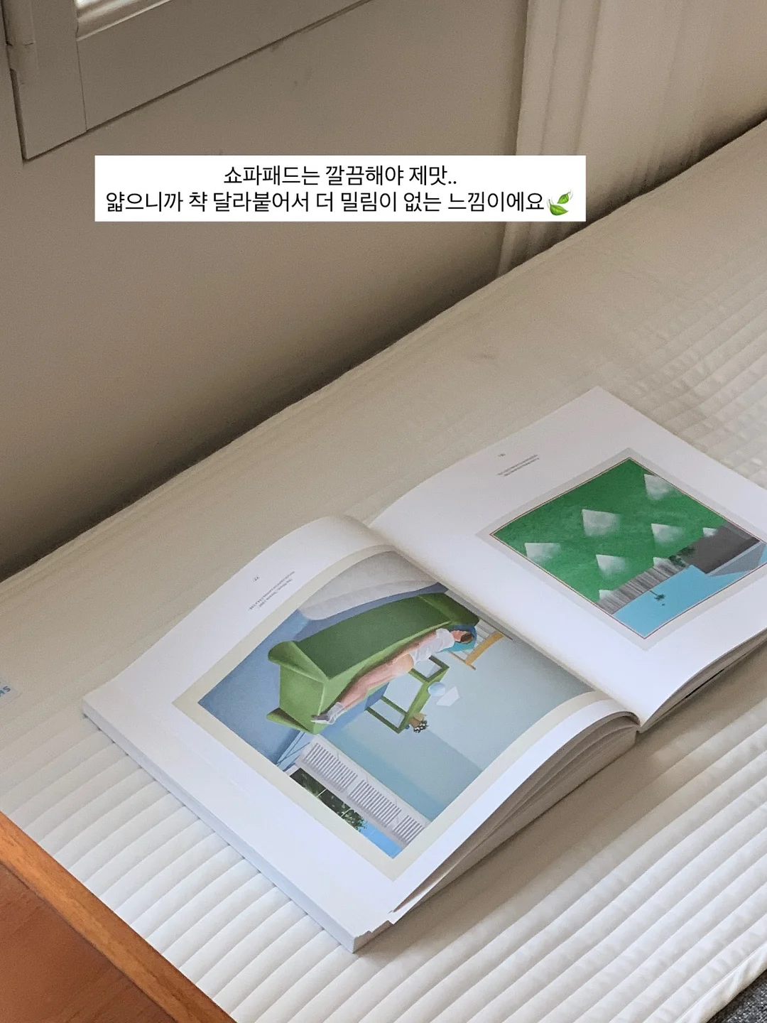생과 블루베리 4