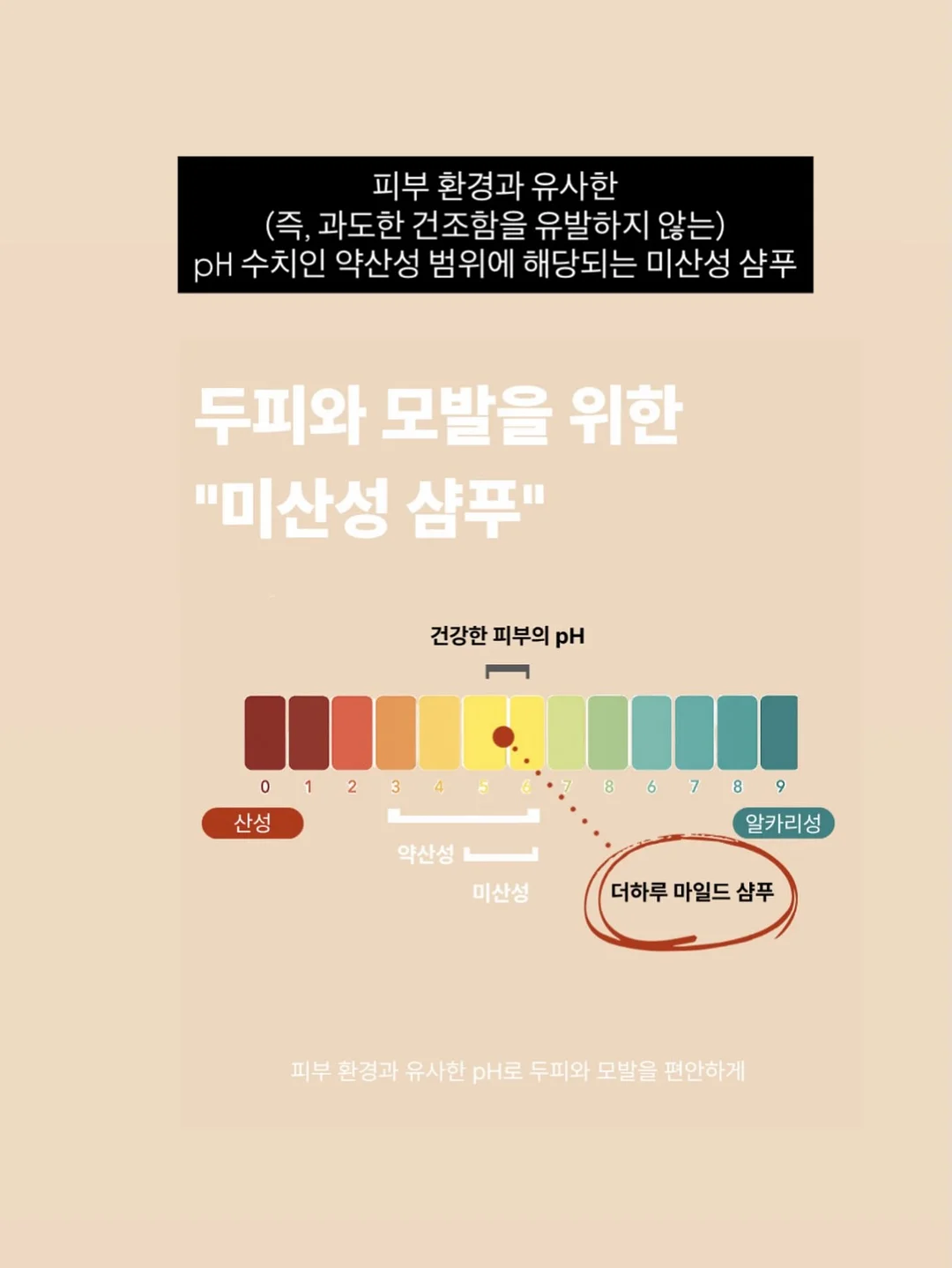사소한 것들의 무게 11