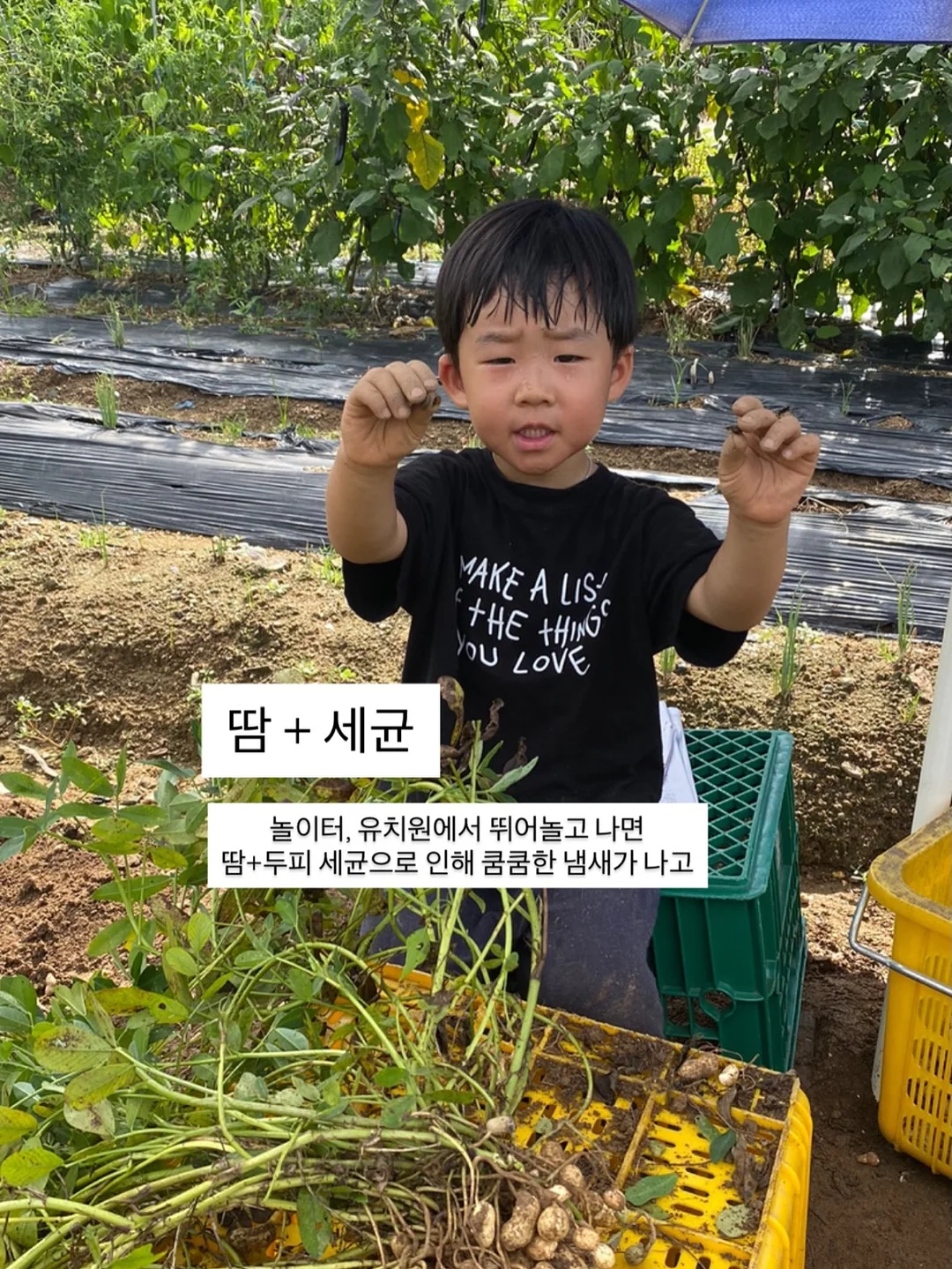 사소한 것들의 무게 4
