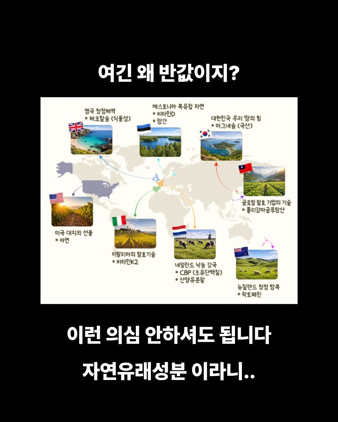 룰라비 플라워 레인코트 15