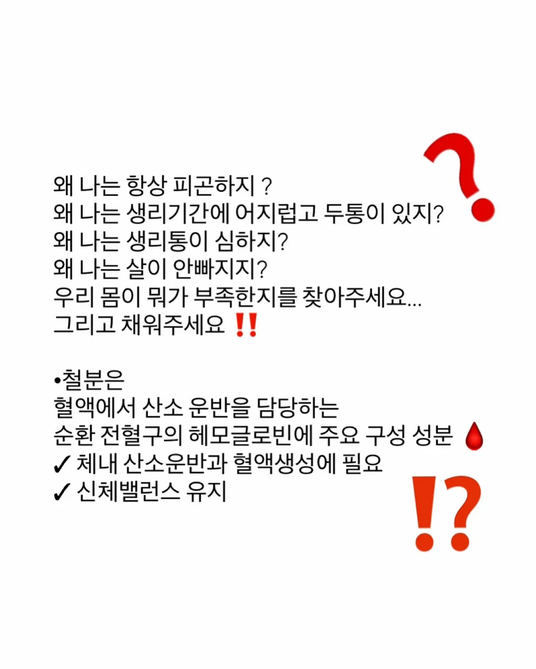 감싸주는날 말띠 에디션 5