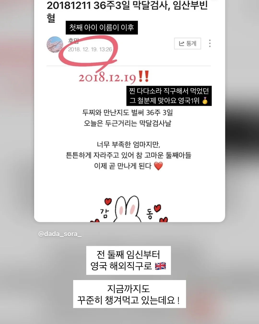 감싸주는날 말띠 에디션 8