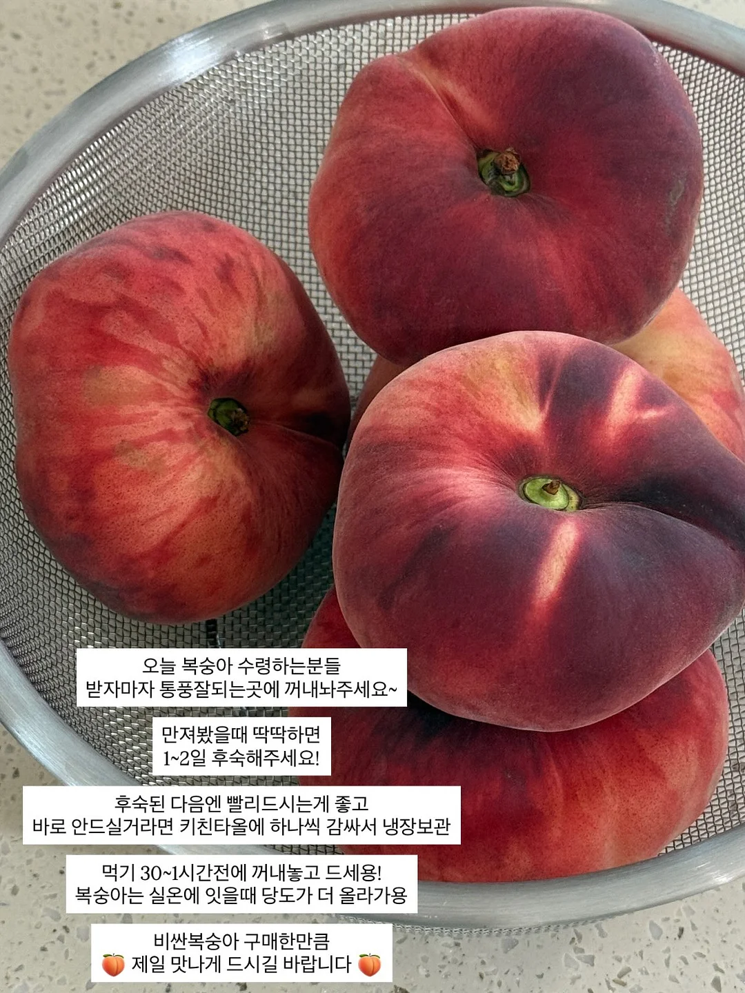 햄토리 모히모히 누이 3