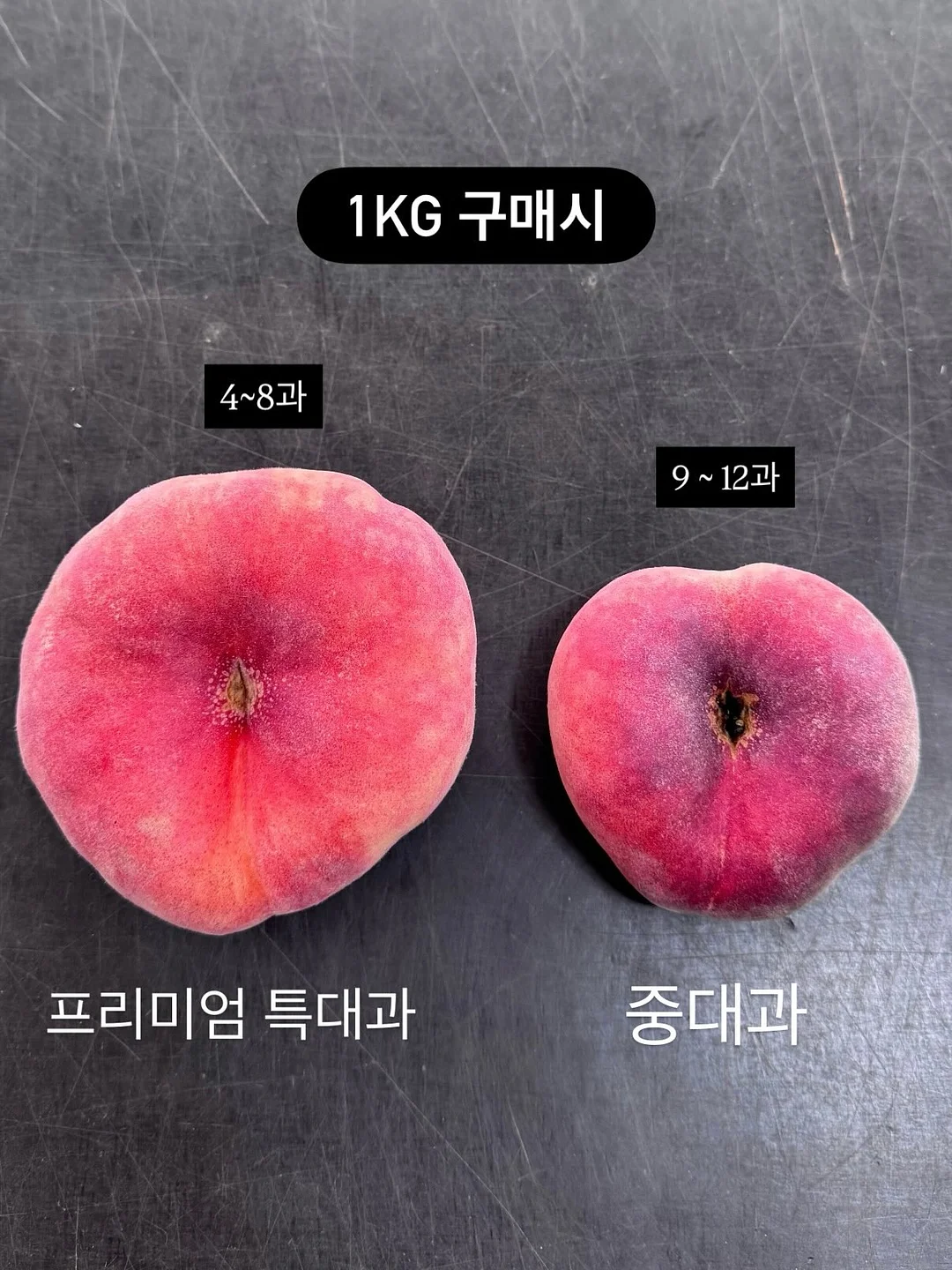 햄토리 모히모히 누이 5