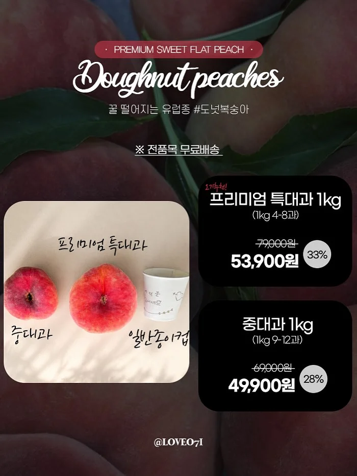 햄토리 모히모히 누이 6