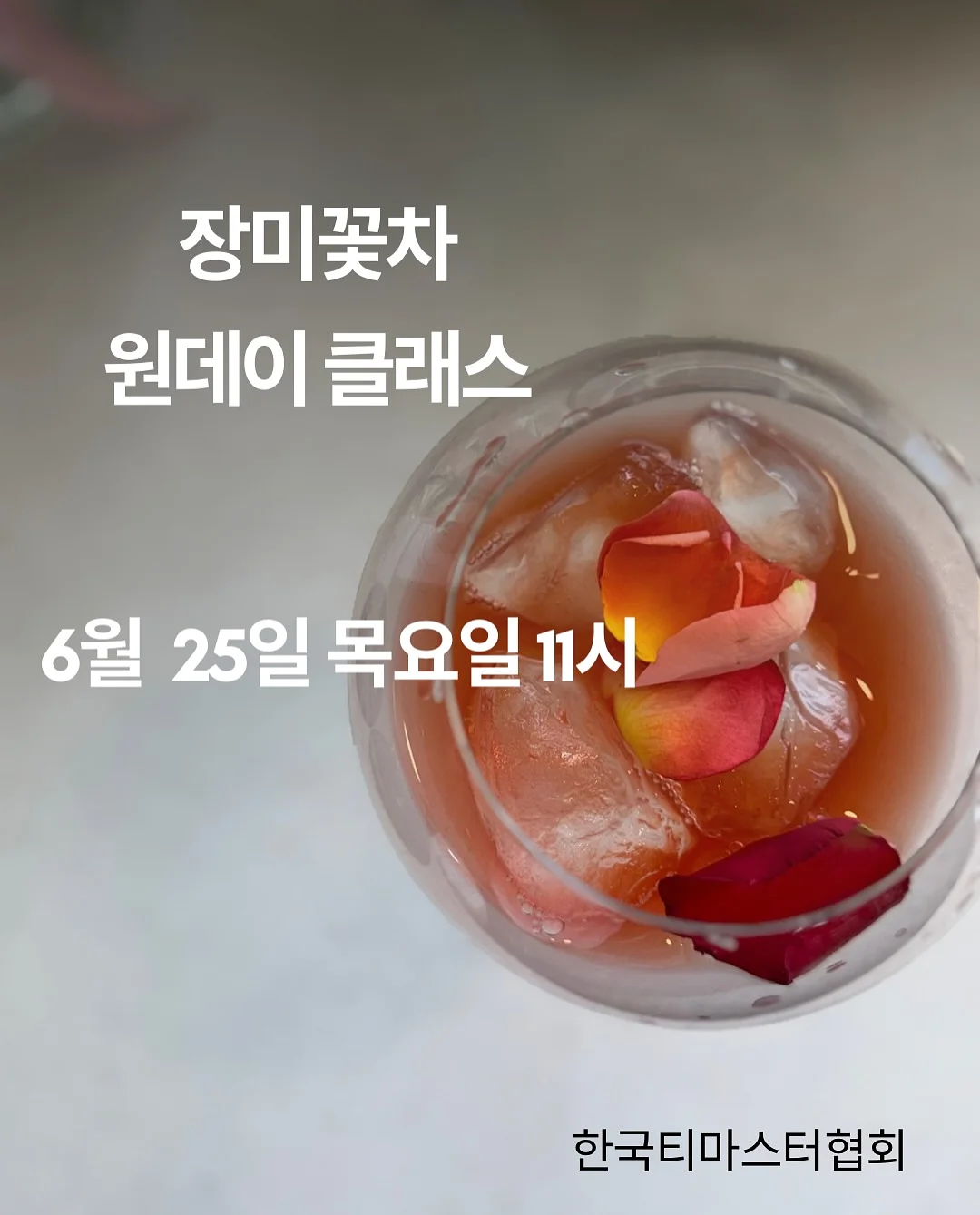 티셔츠 1