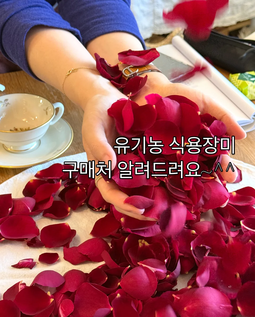 티셔츠 6