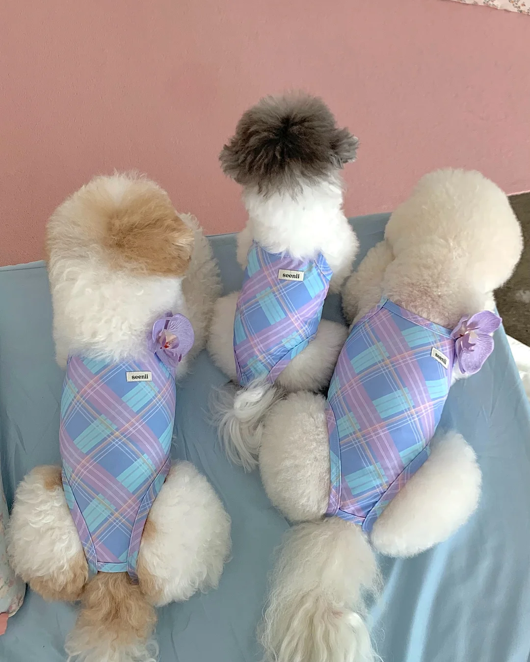 형광 네일 스티커 5