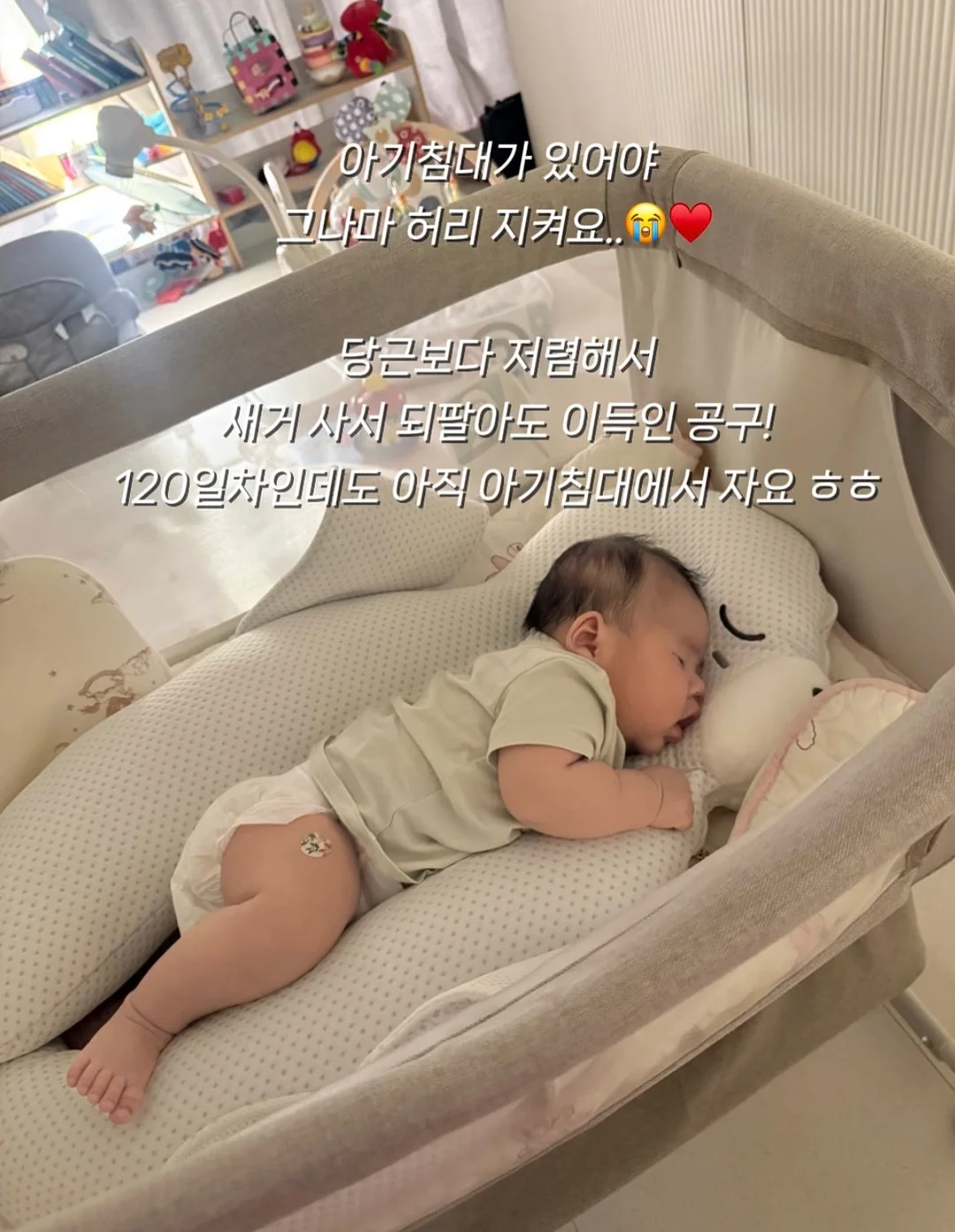 AR지수 0-1점대 그림책 리스트 3