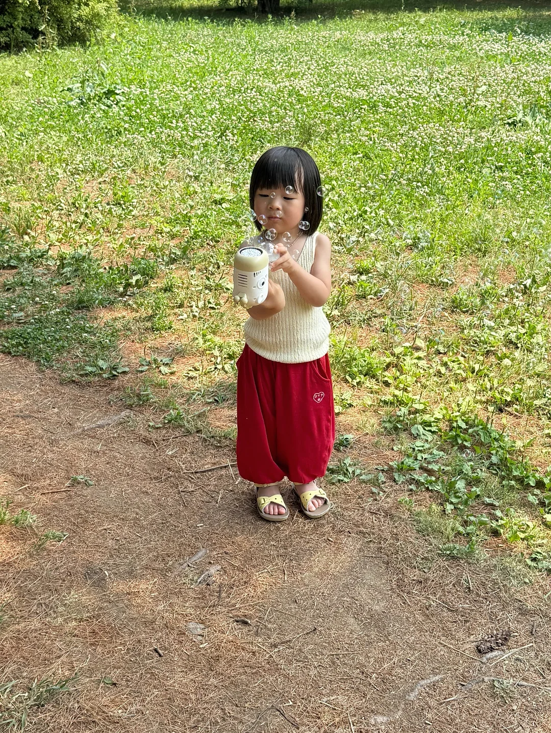 사과오이주스 5