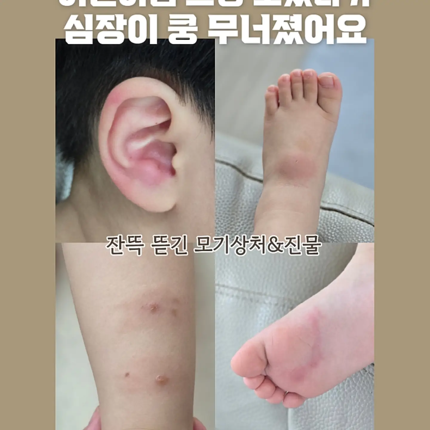 체크리스트 보드 4