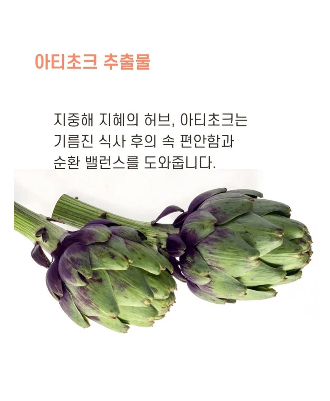 포니테일 캡 10
