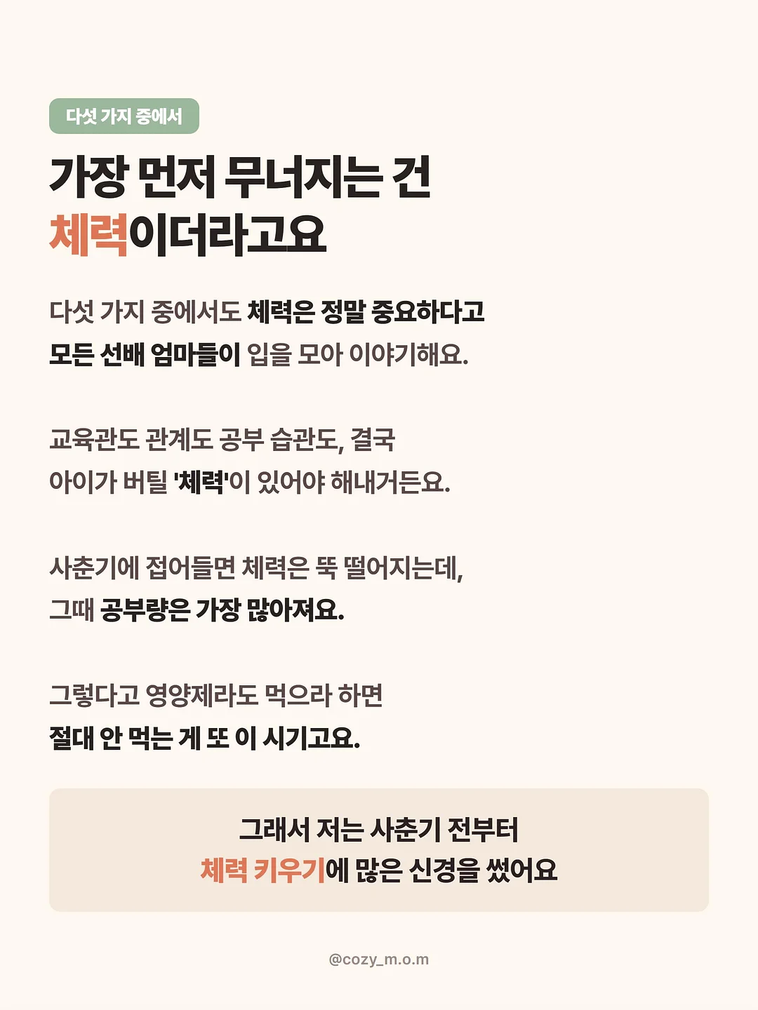 리락쿠마 잘자요 시리즈 8