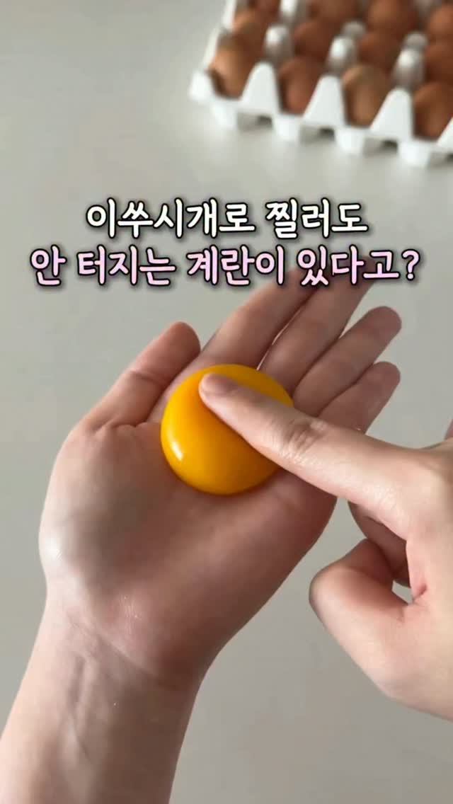 내추럴 화이트 와인 레돔 알자스 포도