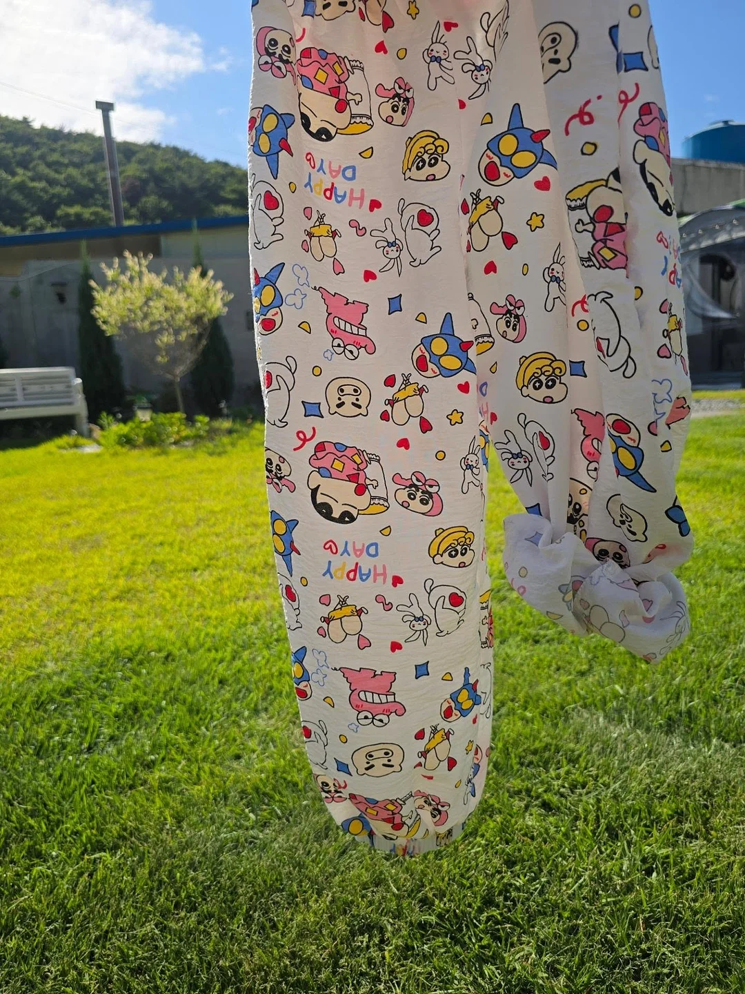 제주 카라향 2