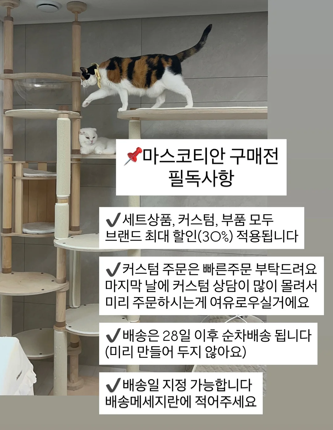 CU 생초코파이