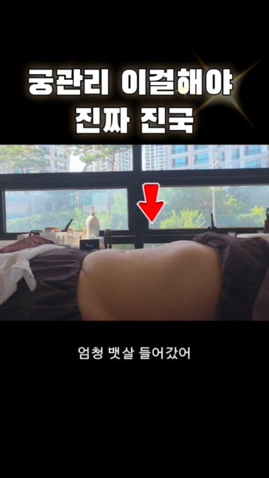 플로멜트 2단 돌케이크 핑크