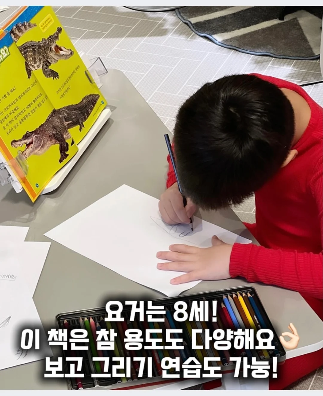 냉장고 보관용품 12