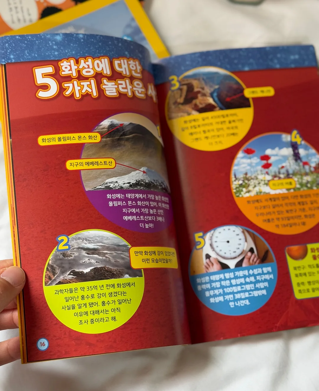 냉장고 보관용품 14