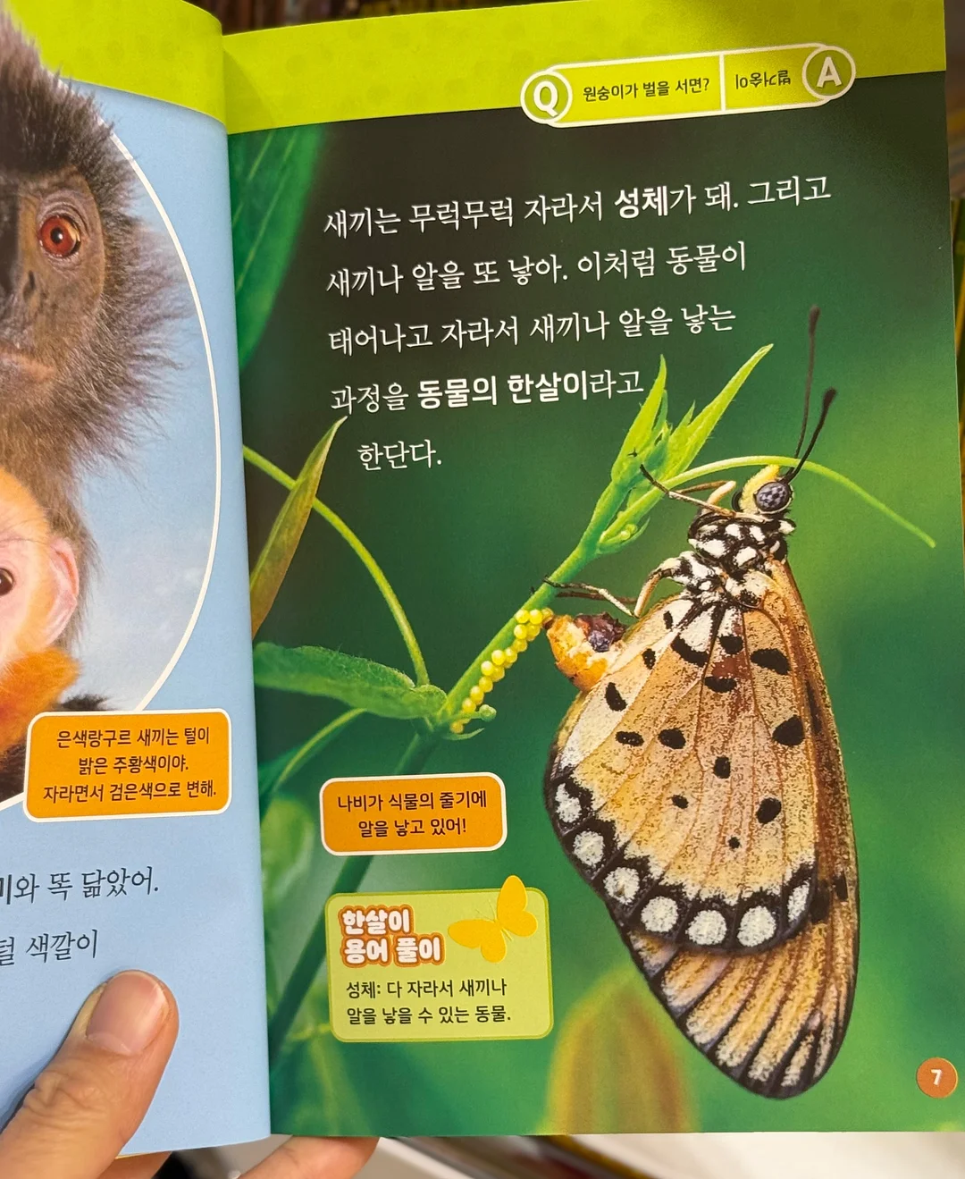 냉장고 보관용품 19