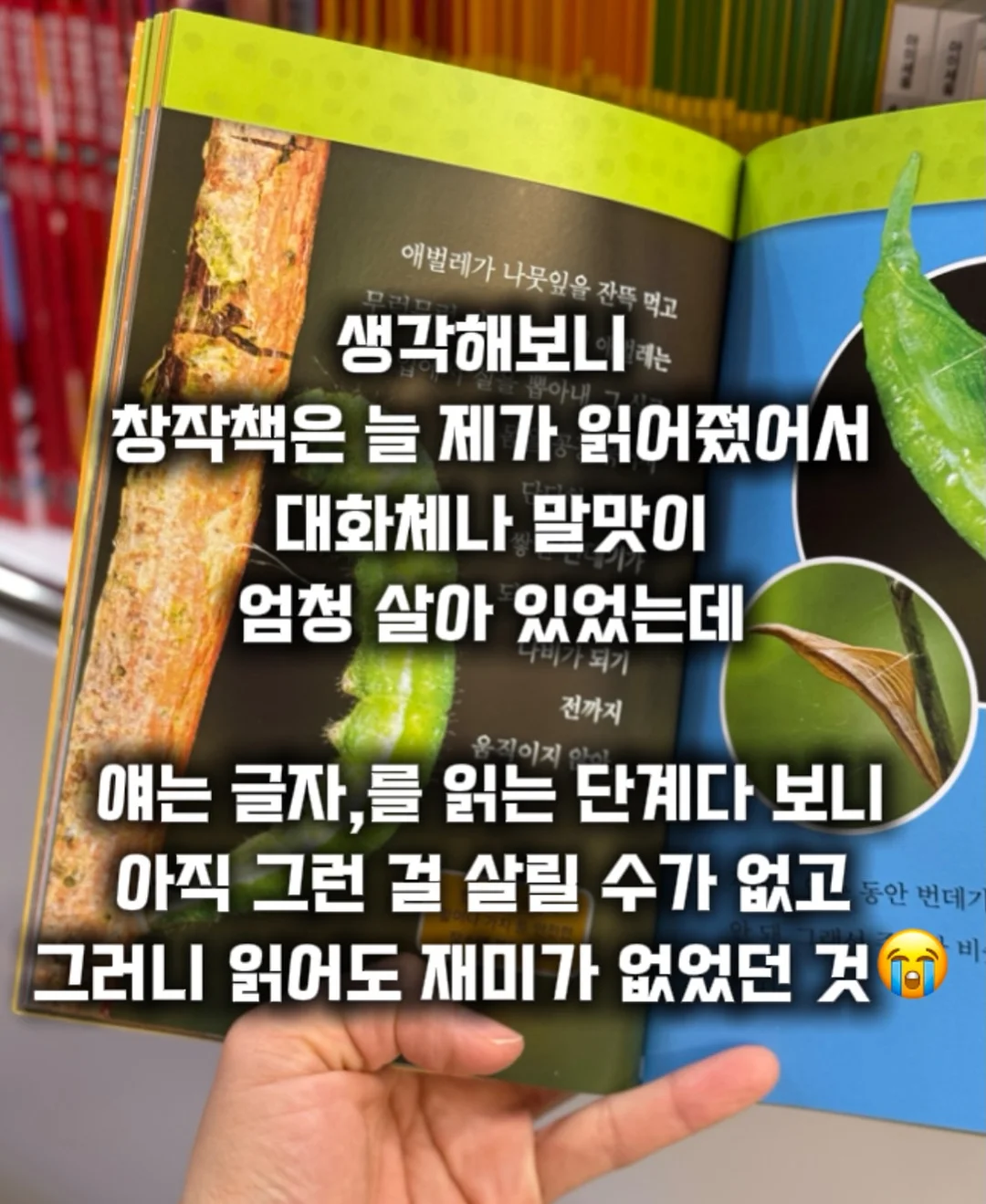 냉장고 보관용품 3