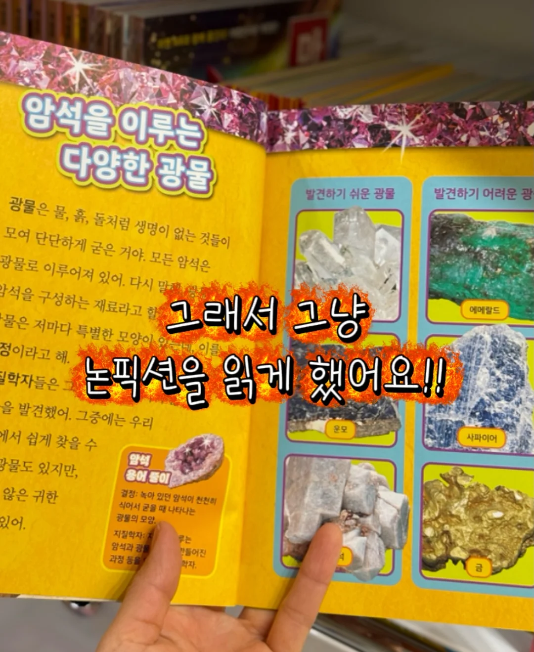 냉장고 보관용품 4