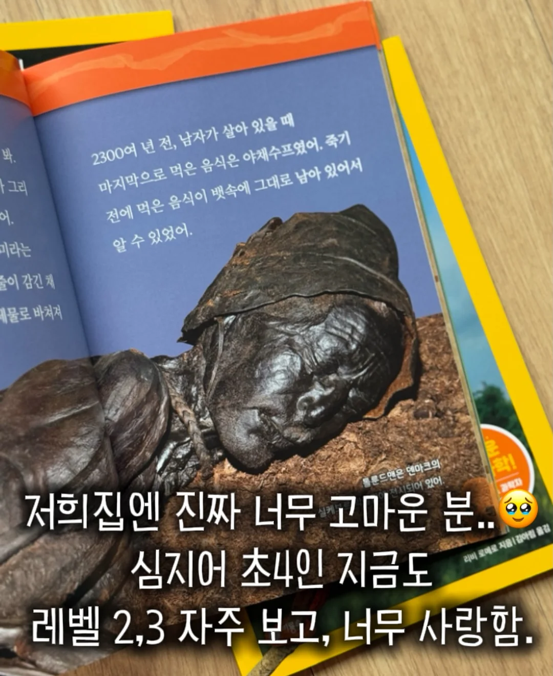 냉장고 보관용품 9